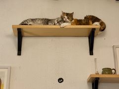 -隅cafe(傅厚岗店)