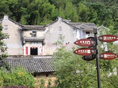 -雁南飞茶田景区
