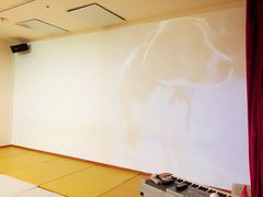-IBOBI早教·托班·国际家庭互动成长中心(欢乐海岸中心)
