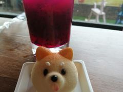 柴犬芝士蛋糕-柴犬高等学院·狗咖·柴犬售卖·宠物训练