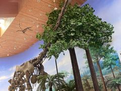 -延庆地质公园博物馆