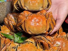 -花潮料理艺食馆(SM新生活广场店)