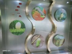 -上海昆虫博物馆