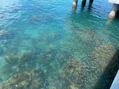 -三亚西岛海洋文化旅游区