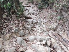 -火炉山森林公园