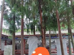 -总统兵马大元帅府