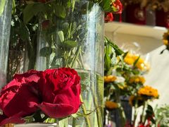 -MCJ-花店(西罗园店)