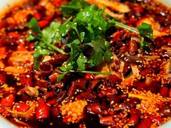 -辛香汇·锦里丨现炒川菜(和信宝龙店)