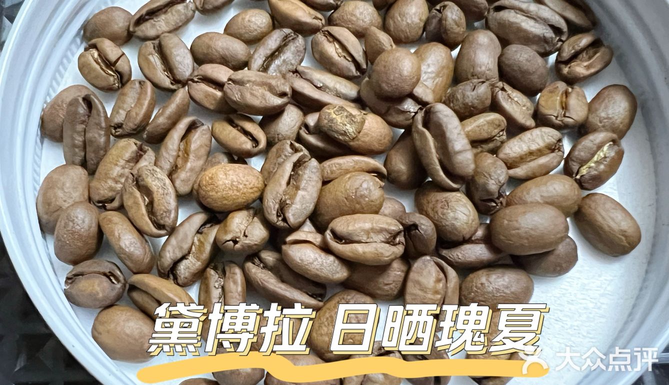 2.1 新年快乐哦