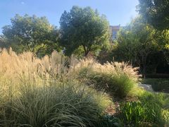 -Wagas沃歌斯(大学路店)