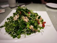 香椿苗核桃仁-天厨妙香素食餐厅(清华店)