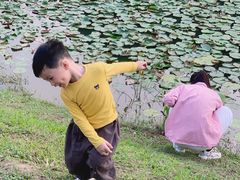 -东莞植物园