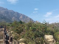 -李先生牛肉面大王(华联商厦店)