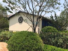 -极料理(普罗理想国店)