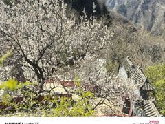 -圣莲山风景区
