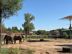 -鄂尔多斯野生动物园