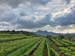 -大泽山风景名胜区