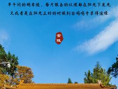 -灵谷景区