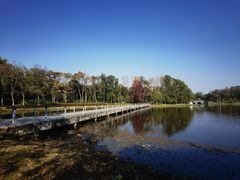 -长广溪湿地公园