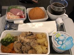 -新加坡航空公司(ION)