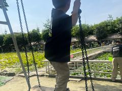 -洪湖家庭农场·团建·露营·会议