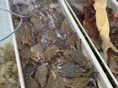 -南沙十九涌渔人码头-南门