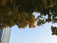 -光明港公园