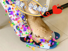 -lincat·猫舍(广州店)