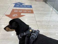 -申普宠物医院·眼科·心内科·影像科(普陀分院)