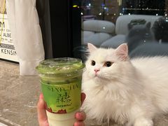 -茶月山·潮汕工夫茶饮(乐峰广场店)