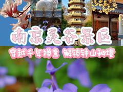 -灵谷景区