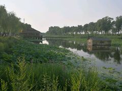 -白洋淀景区