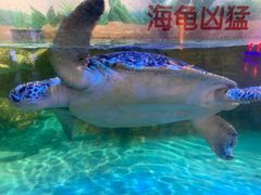 -石家庄海洋公园