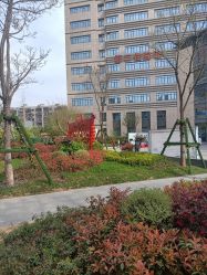 -河南中医药大学第一附属医院-医疗整形