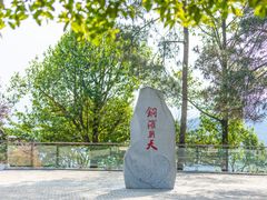 -铁山坪森林公园