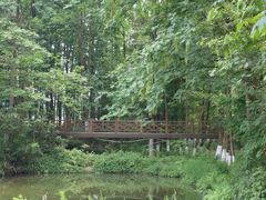 -桤木河湿地公园