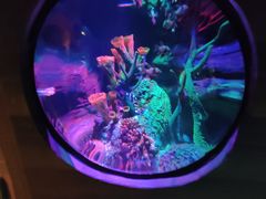 -沈阳海洋探索中心