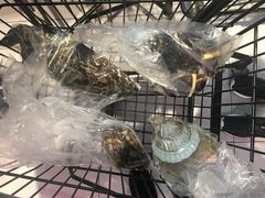 -盒马鲜生(悦峰店)