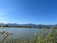 -野鸭湖国家湿地公园