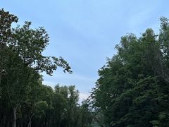 -昆山城市生态森林公园