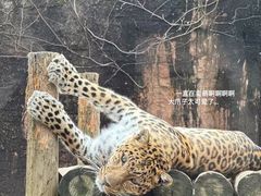-杭州野生动物世界