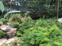 -南山植物园