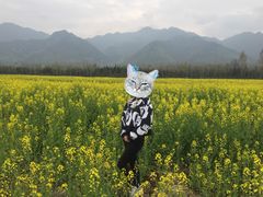 -秦岭风景区