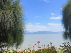 -深圳湾公园(南山区)