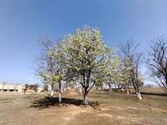 -盘龙城国家考古遗址公园