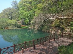 -句容茅山景区