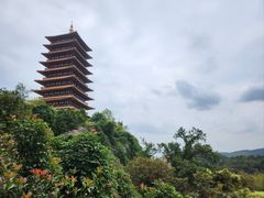 -牛首山文化旅游区