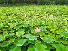 -常州奔牛国际机场