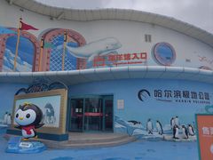 -哈尔滨极地公园