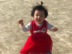 -合肥滨湖国家森林公园